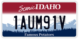 1AUM91V  license plate in ID