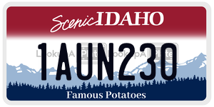 1AUN230  license plate in ID