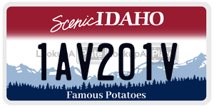 1AV201V  license plate in ID