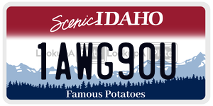 1AWG90U  license plate in ID