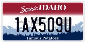 1AX509U  license plate in ID