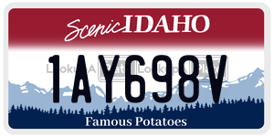 1AY698V  license plate in ID
