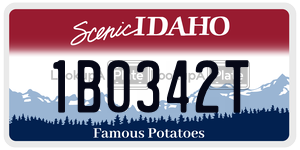 1B0342T  license plate in ID
