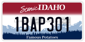1BAP301  license plate in ID