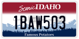 1BAW503  license plate in ID