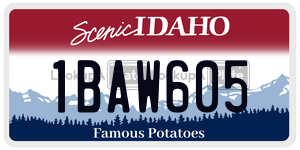 1BAW605  license plate in ID