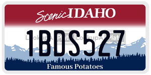 1BDS527  license plate in ID