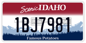 1BJ7981  license plate in ID