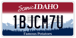 1BJCM7U  license plate in ID