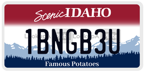 1BNGB3U  license plate in ID