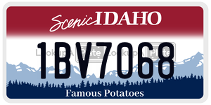 1BV7068  license plate in ID