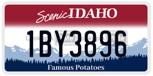 1BY3896  license plate in ID