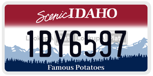 1BY6597  license plate in ID