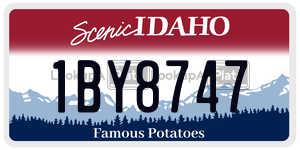 1BY8747  license plate in ID