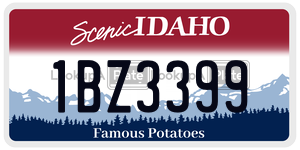 1BZ3399  license plate in ID