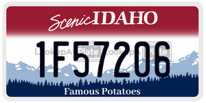 1F57206  license plate in ID