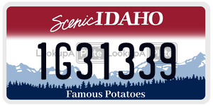 1G31339  license plate in ID
