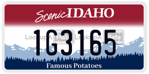 1G3165  license plate in ID