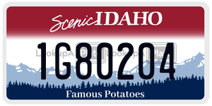 1G80204  license plate in ID