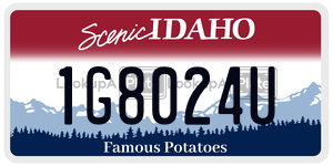 1G8024U  license plate in ID