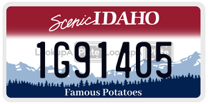 1G91405  license plate in ID