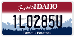 1L0285U  license plate in ID