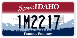 1M2217  license plate in ID