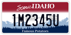 1M2345U  license plate in ID