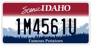 1M4561U  license plate in ID