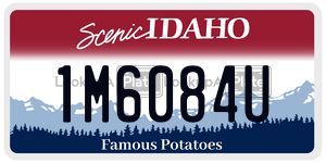 1M6084U  license plate in ID