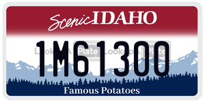 1M61300  license plate in ID