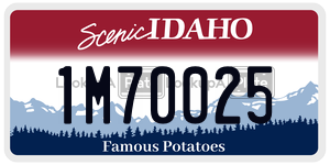 1M70025  license plate in ID
