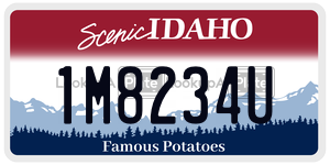 1M8234U  license plate in ID
