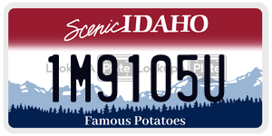 1M9105U  license plate in ID