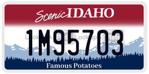 1M95703  license plate in ID