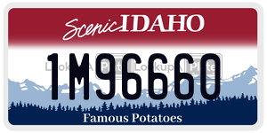 1M96660  license plate in ID