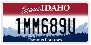 1MM689U  license plate in ID