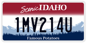 1MV214U  license plate in ID