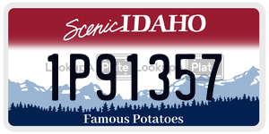 1P91357  license plate in ID
