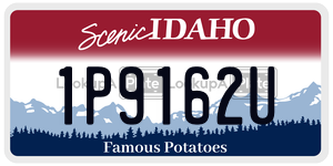 1P9162U  license plate in ID