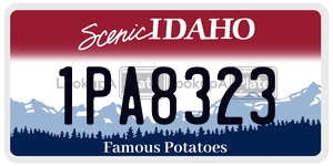 1PA8323  license plate in ID