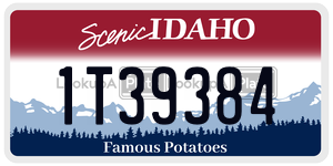 1T39384  license plate in ID