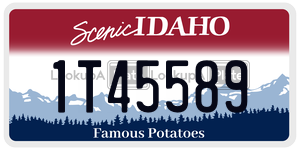 1T45589  license plate in ID