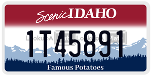 1T45891  license plate in ID