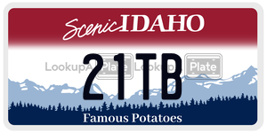 21TB  license plate in ID