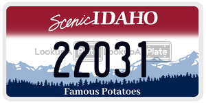 22031  license plate in ID