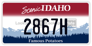 2867H  license plate in ID