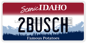 2BUSCH  license plate in ID
