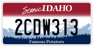 2CDW313  license plate in ID
