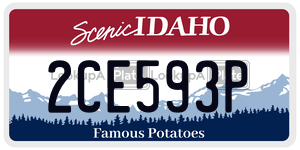 2CE593P  license plate in ID